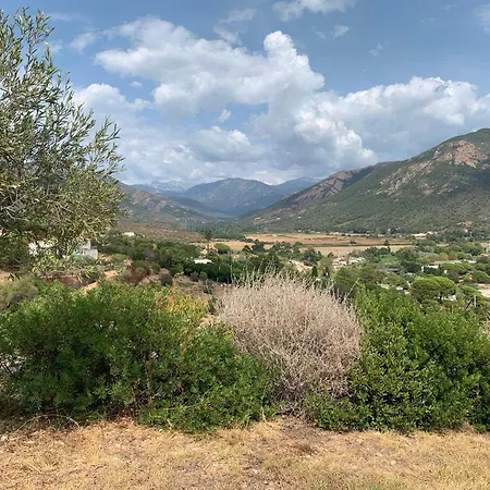 Independante Dans Bord De