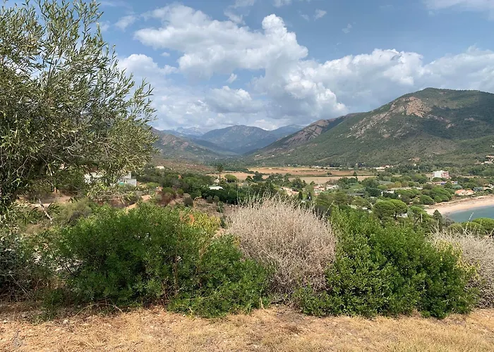 Independante Dans Bord De